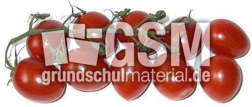 Tomaten-10A.jpg